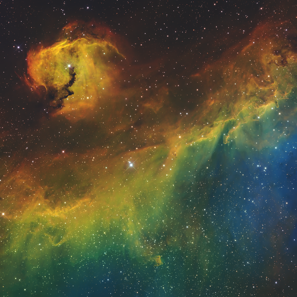 IC 2177 - The Seagull Nebula | Telescope Live